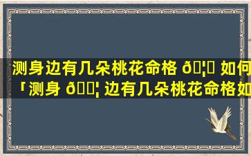 测身边有几朵桃花命格 🦈 如何「测身 🐦 边有几朵桃花命格如何破解」